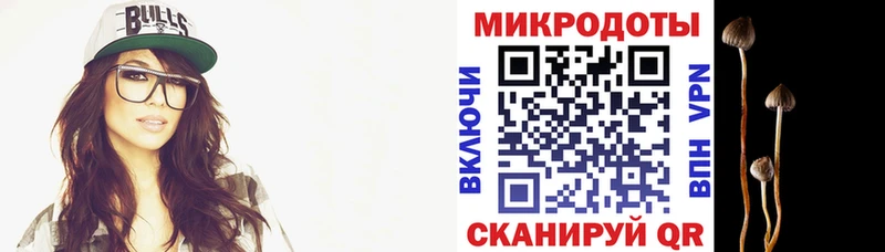 где купить   Палласовка  Псилоцибиновые грибы ЛСД 